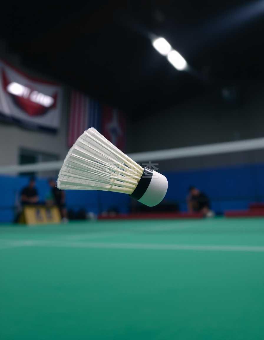 其作为文化 其作为文化