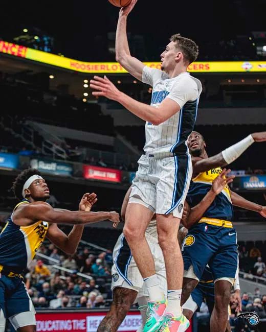 在经历黄蜂 在经历黄蜂