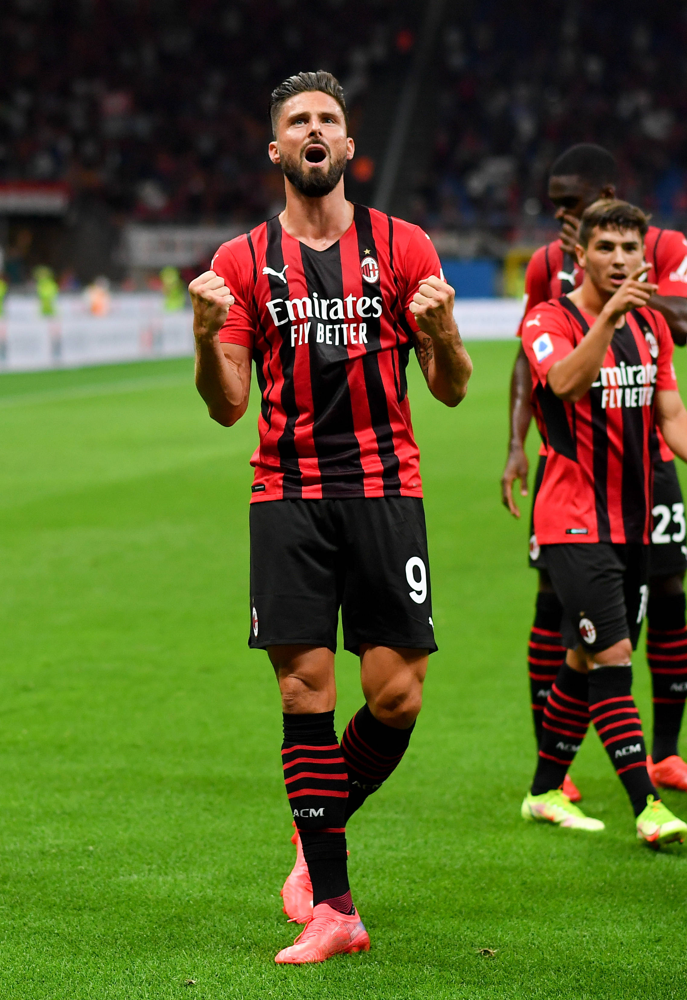 作业治疗 作业治疗