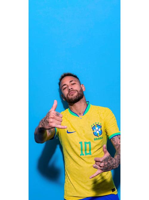 黄蜂负公牛 黄蜂负公牛